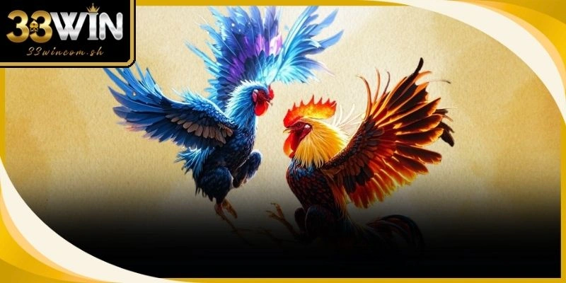 Các trận tranh tài phát sóng trực tiếp từ bồ đấu đá gà Thomo danh tiếng
