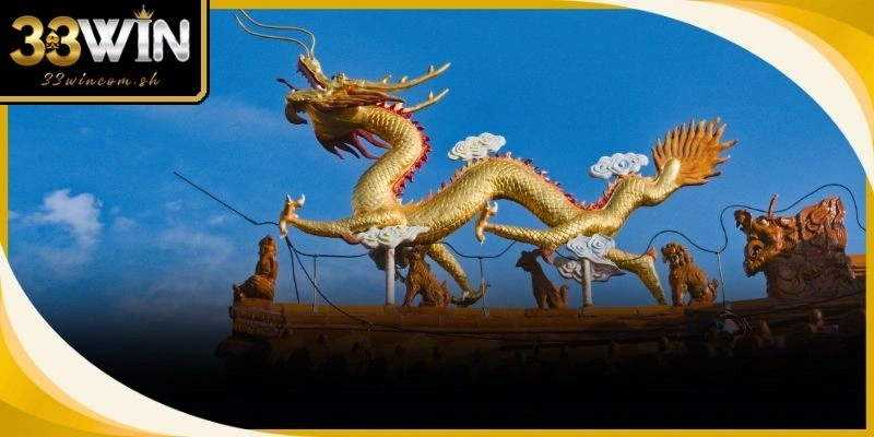 Thành viên đang nghiên cứu kỹ lưỡng các số liệu thống kê Rồng Bạch Kim